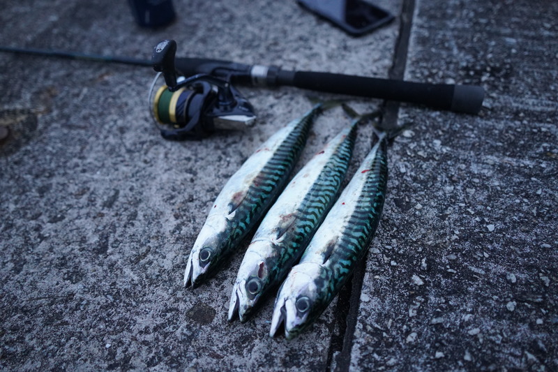 thumbnail image 2 of 3x 9cm 30g Sea Fishing Silver Minnow Lures – Metal Mackerel Pike Spinners Set (UK Seller) 2 of 5