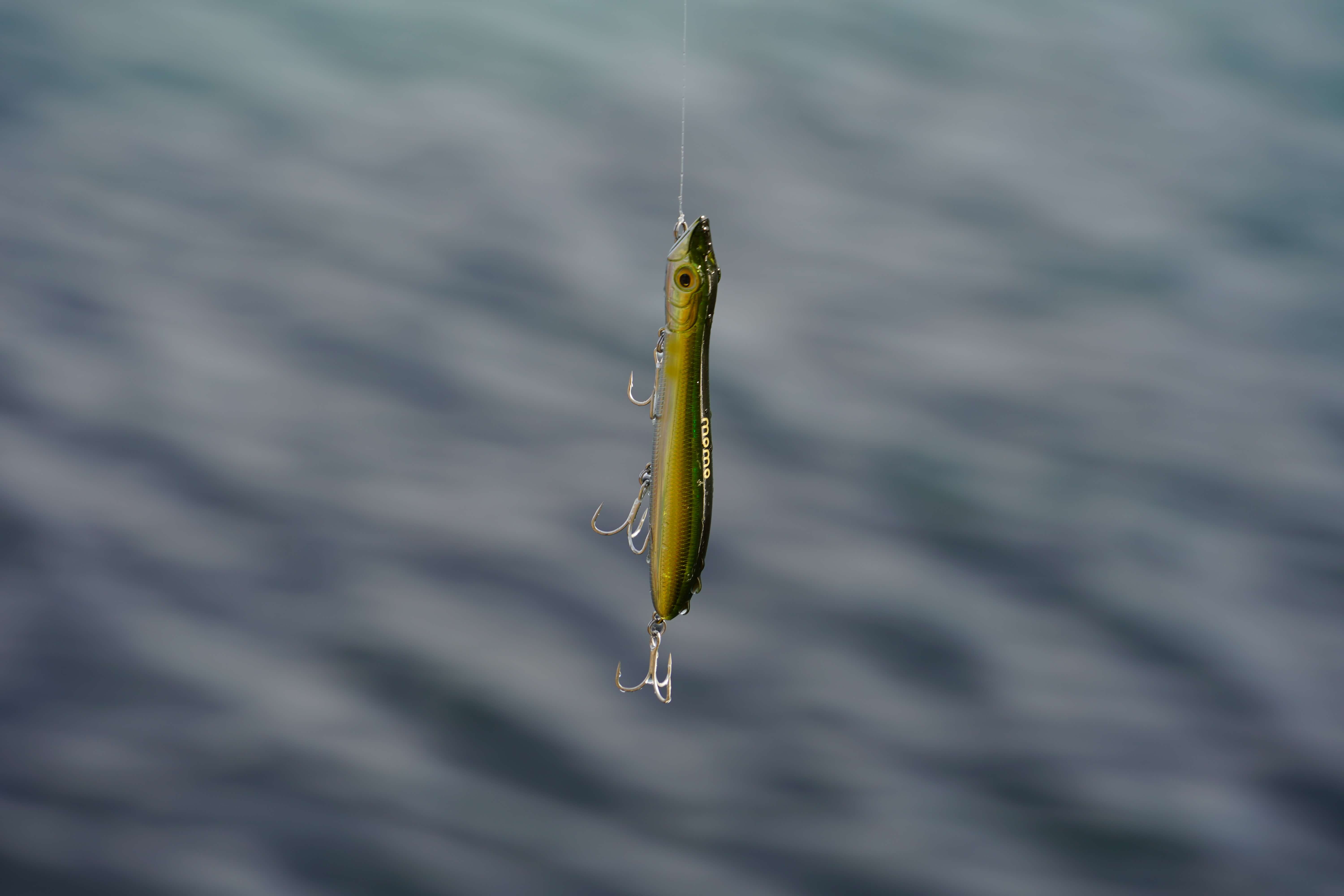 surface lure