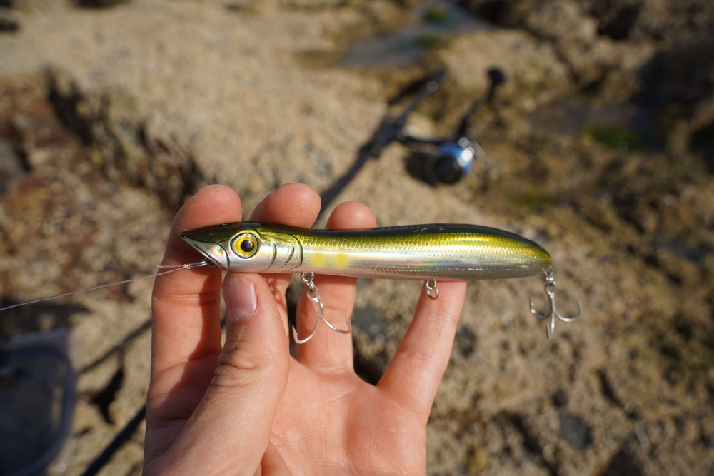 The Only 3 Bass Lures You'll Ever Need | UK's Best Bass Lures Guide