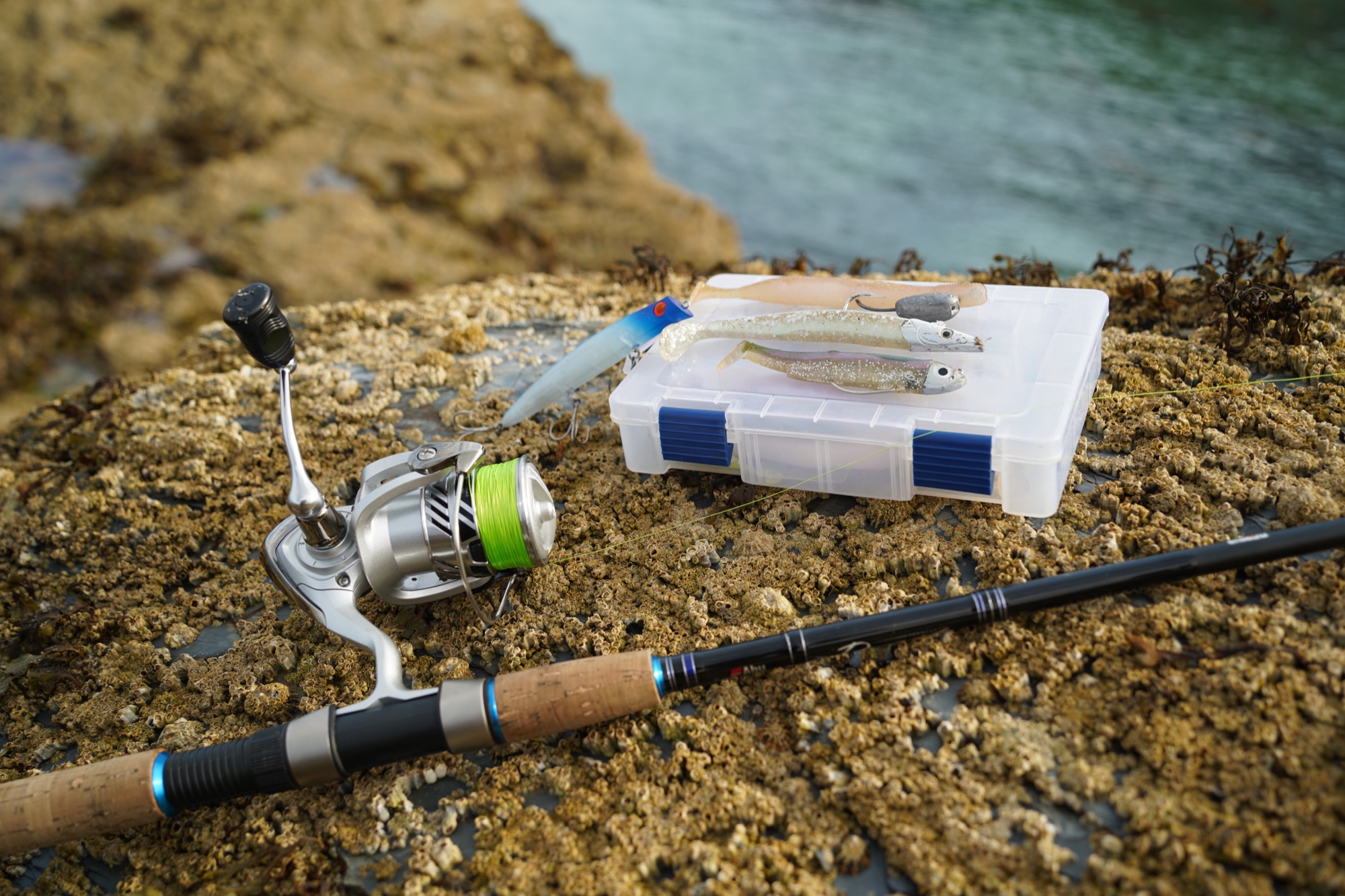 all-rounder rock fishing rod 
