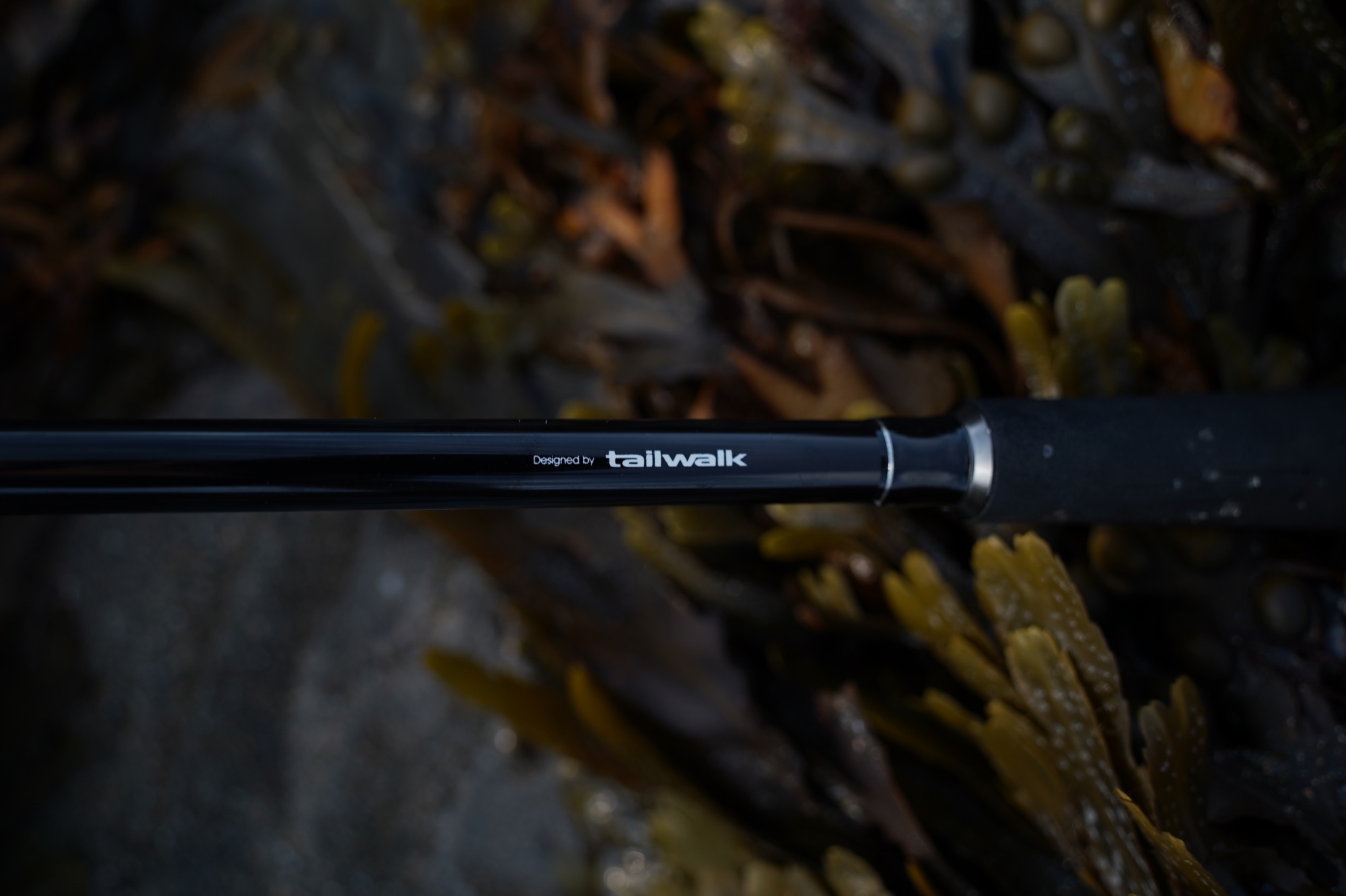 Tailwalk lure rod review