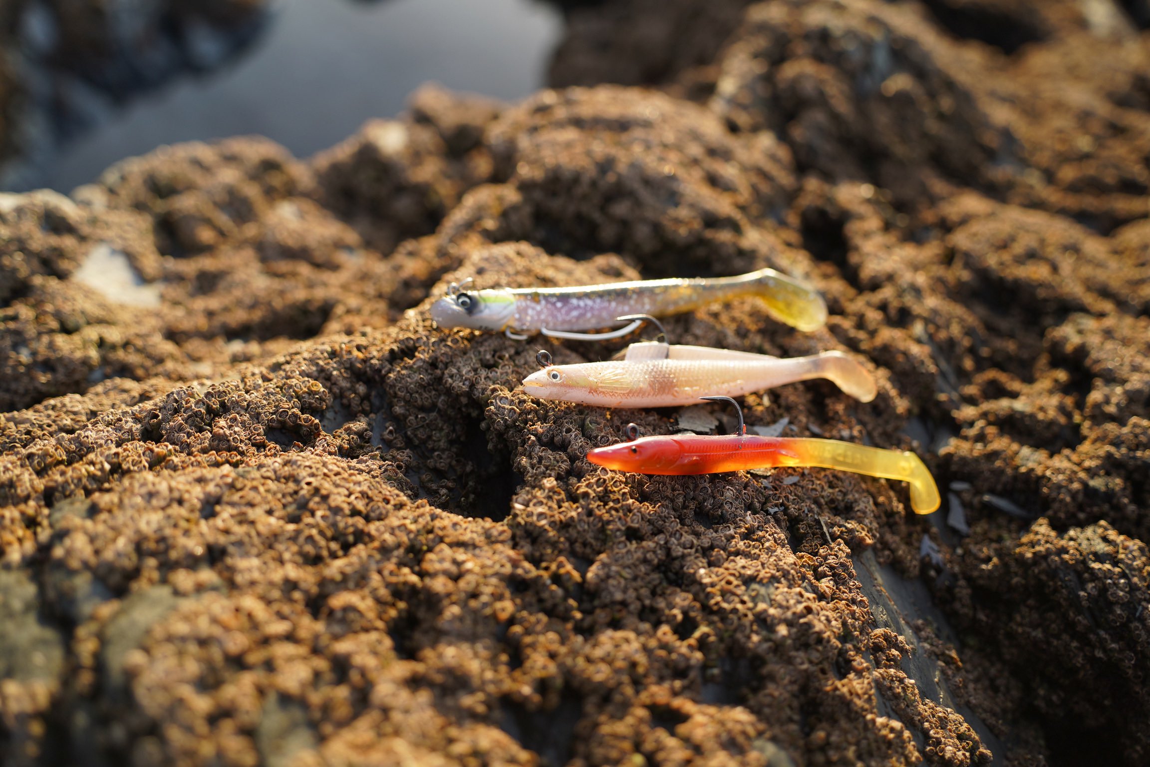 soft plastic lures for cod