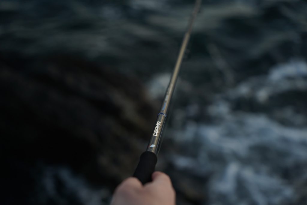 Daiwa BG Magsealed 3000 - Fishing Reel